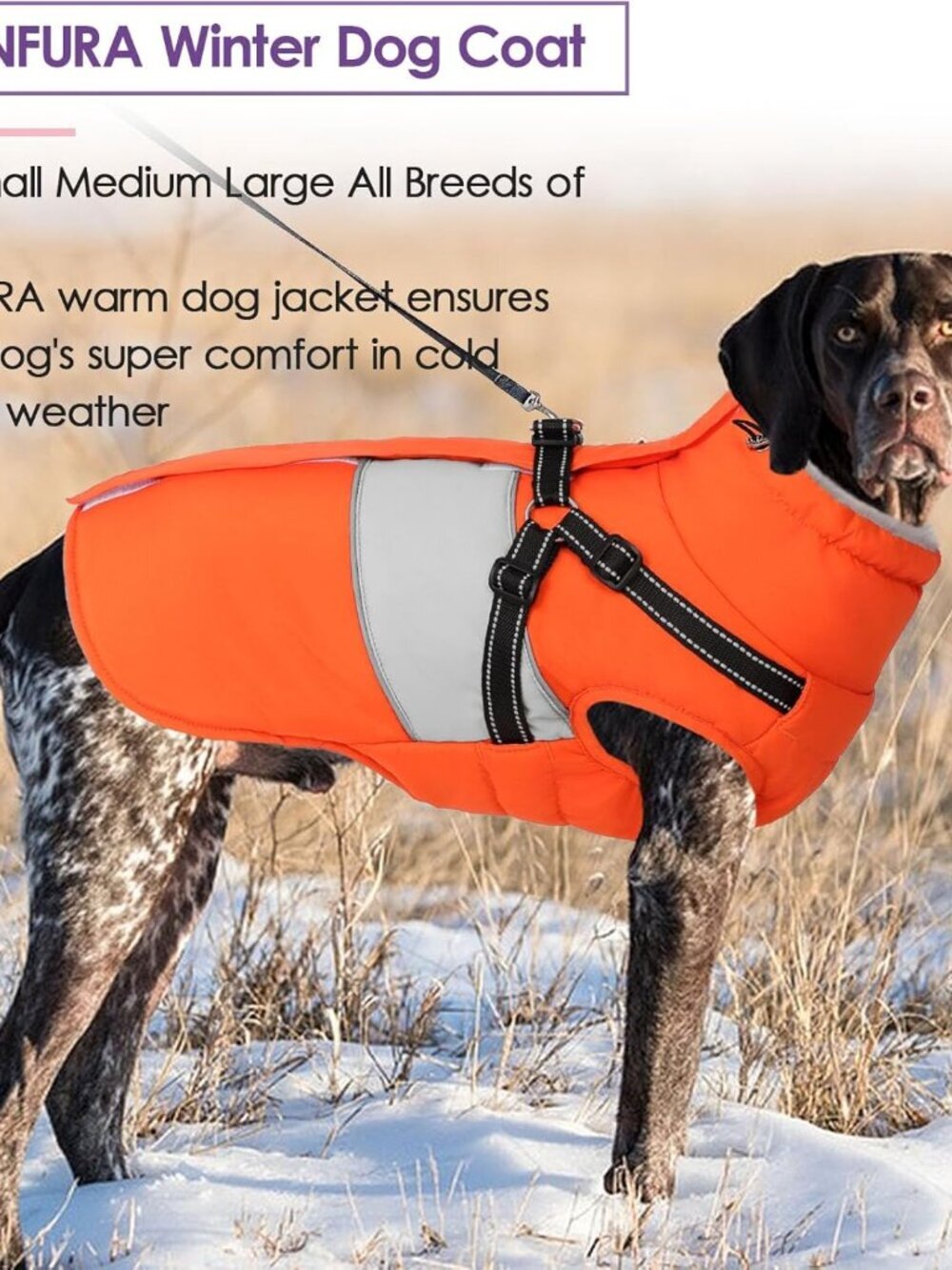 Dog Coat, XXL Dog Jacket Winter with Harness Built in